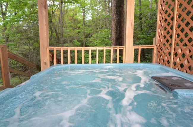 #3690 Bear Creek Lodge Hatchertown Bagian luar foto